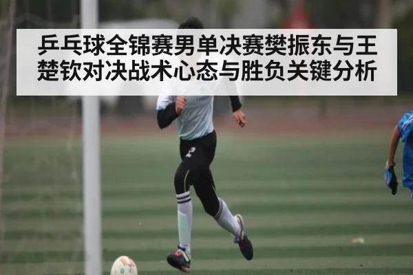 乒乓球全锦赛男单决赛樊振东与王楚钦对决战术心态与胜负关键分析